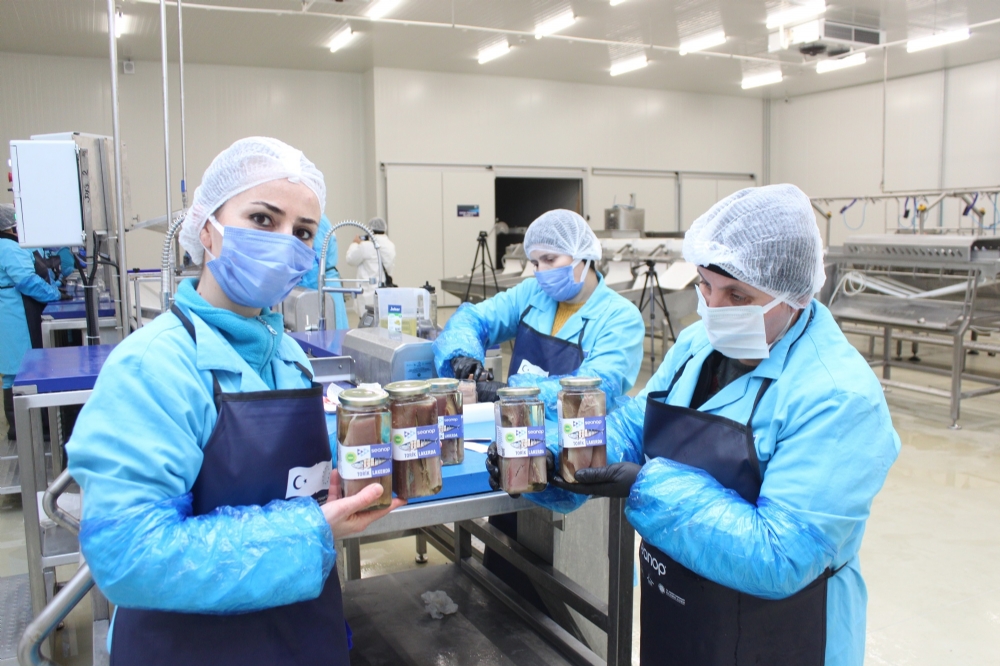 Lakerda ve Su �r�nleri Tesisinde �retim Ba�lad�