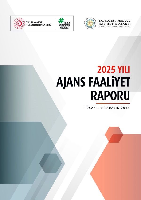 2025 YILI AJANS FAALİYET RAPORU
